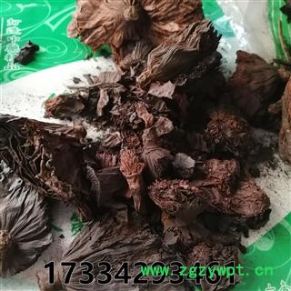 莲房碳 莲房炭  原料图3