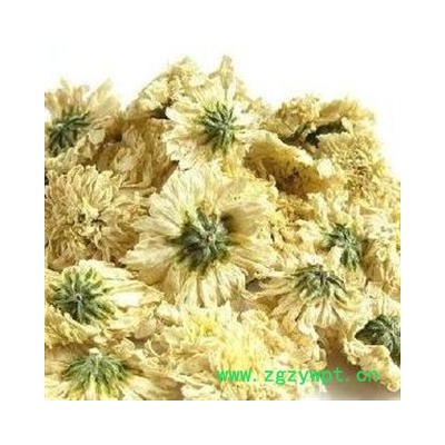 贡菊花 菊花 七月菊好货 产地 安徽省黄山市 娟子中药