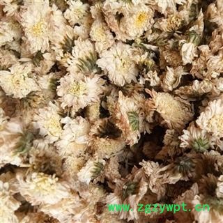 贡菊花 菊花 七月菊好货 产地 安徽省黄山市 娟子中药图3