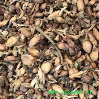 佛手花 佛手花统货 佛柑花 正品  新货 产地 广西壮族自治区 买好药找娟子图4