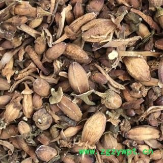 佛手花 佛手花统货 佛柑花 正品  新货 产地 广西壮族自治区 买好药找娟子图2