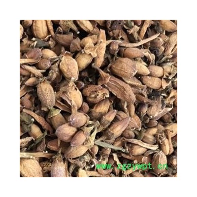 佛手花 佛手花统货 佛柑花 正品  新货 产地 广西壮族自治区 买好药找娟子