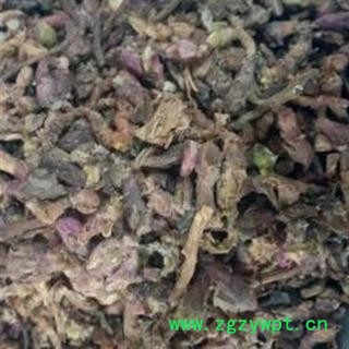 冬花 款冬花 2021好统 产地 甘肃省定西市陇西药市图2