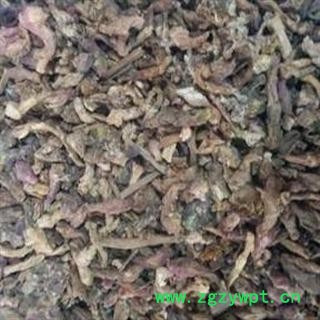 冬花 款冬花 2021好统 产地 甘肃省定西市陇西药市图3