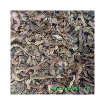 冬花 款冬花 2021好统 产地 甘肃省定西市陇西药市