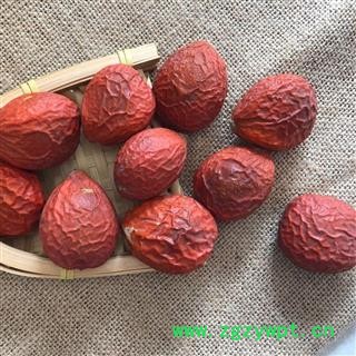 铁树果 凤凰蛋 神仙米 铁树花雌花 铁树花母花 选货 产地 四川省 买好药找娟子图3