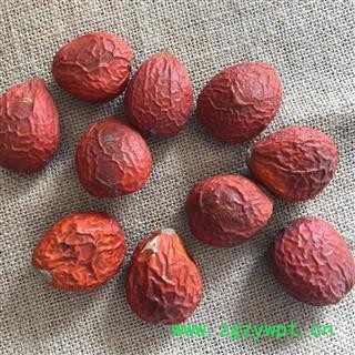 铁树果 凤凰蛋 神仙米 铁树花雌花 铁树花母花 选货 产地 四川省 买好药找娟子图2