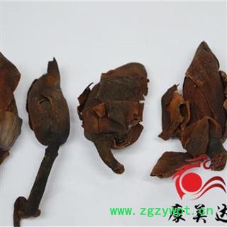 厚朴花 药用统货 产地 四川省图2