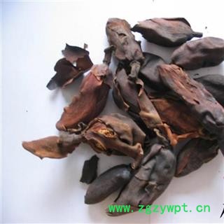 厚朴花 药用统货 产地 四川省图3