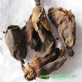 厚朴花 统 产地 四川省图3