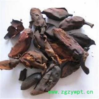 厚朴花 统 产地 四川省图2