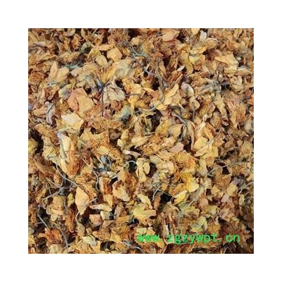 金莲花 金莲花茶统货 产地 内蒙古自治区