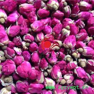 玫瑰花 选 产地 甘肃省 苦水玫瑰 兰州玫瑰图2