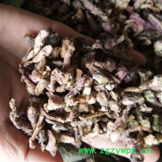 款冬花 颜色好 挑选杆子的选货 产地 甘肃省图3