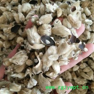 辛夷花 辛夷大桃统货 产地 甘肃省图2