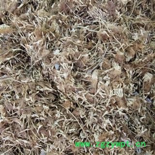 合欢花 夜合欢、夜合树 绒花树 鸟绒树 苦情花 统货 产地 山东省图2