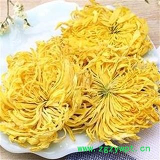 新辉药业优质菊花花茶 金丝皇菊花茶图2