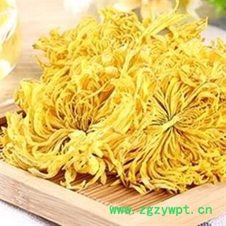 新辉药业优质菊花花茶 金丝皇菊花茶图3