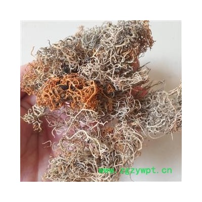 新辉药业红雪茶  金丝茶 金刷把