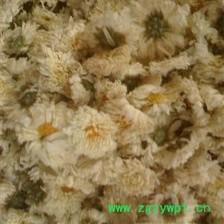 太阳菊供应批发 菊花 太阳菊 选货  本店批发零售各种中药材图2