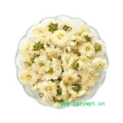 太阳菊供应批发 菊花 太阳菊 选货  本店批发零售各种中药材