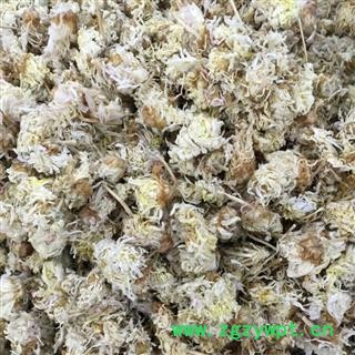 菊花 好统货 河北菊花 颜色白 自产自销 新店开张 产地 河北省图2