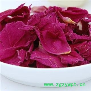 杜鹃花 01 杜鹃花 产地 陕西省西安市市辖区图2