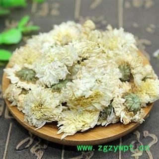 贡菊 黄山贡菊 精品选货 七月菊 白菊花正品保证质量7天无理由退货退款 中药材批发 丽丽药业图3