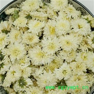 贡菊 黄山贡菊 精品选货 七月菊 白菊花正品保证质量7天无理由退货退款 中药材批发 丽丽药业图4