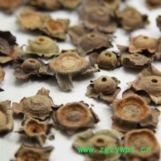 柿蒂 统货正品保证质量7天无理由退货退款 安品堂图2