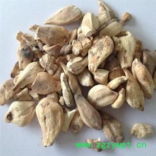 秋水仙 草原藏红花 索龙江 正品保证质量7天无理由退货退款 华安堂图3