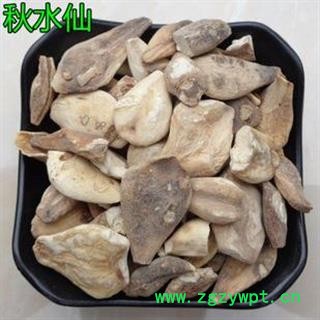 秋水仙 草原藏红花 索龙江 正品保证质量7天无理由退货退款 华安堂图2