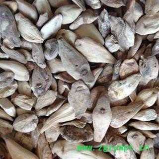 秋水仙 草原藏红花 索龙江 正品保证质量7天无理由退货退款 华安堂图4