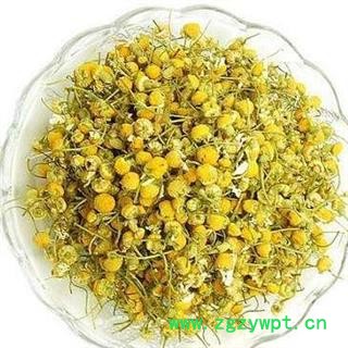 洋甘菊茶 精品货500克 茶用洋甘菊正品保证质量7天无理由退货退款 中药材批发 丽丽药业图4