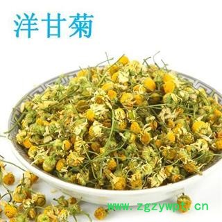 洋甘菊茶 精品货500克 茶用洋甘菊正品保证质量7天无理由退货退款 中药材批发 丽丽药业图3