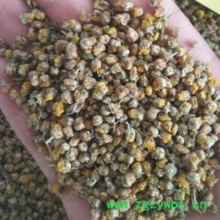 野菊花 正品保证质量7天无理由退货退款 安品堂图4