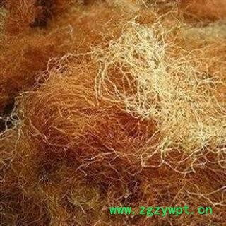 玉米须 正品保证质量7天无理由退货退款 安品堂图2