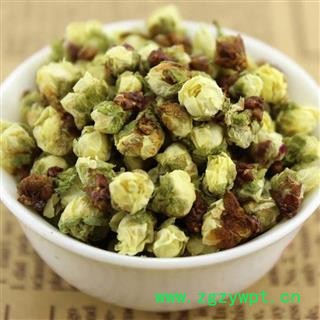 绿梅花 绿萼梅正品保证质量7天无理由退货退款 安品堂图4