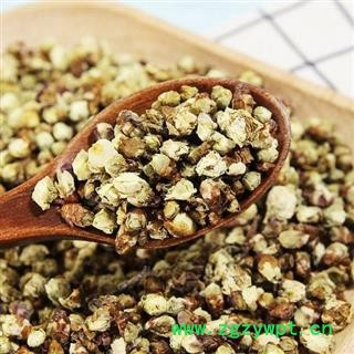 绿萼梅 绿梅花正品保证质量7天无理由退货退款 安品堂图3