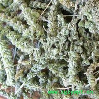 荆芥穗 统货 纯青色 有一定量子  产地 山东省图2