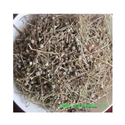 谷精草 好统货 产地 湖南省