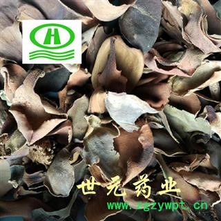 世元药业 厚朴花 正品 别称赤朴 川朴 淡伯 厚朴 【全品除尘中药】图2