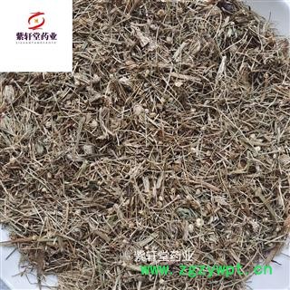 谷精草 好统  无杂质 产地 湖南省  产地直销图4