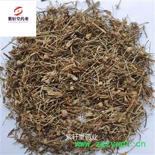 谷精草 好统  无杂质 产地 湖南省  产地直销图2