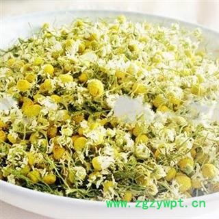 菊花 洋甘菊 选装货 代加工超细粉 产地 山东省东营市河口区图3