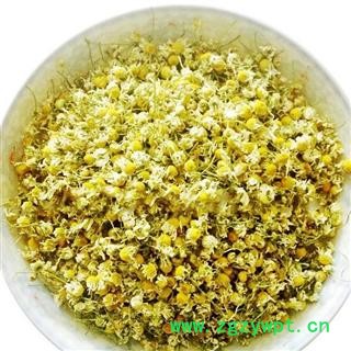 菊花 洋甘菊 选装货 代加工超细粉 产地 山东省东营市河口区图2