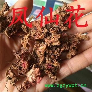 凤仙花 正品保证质量7天无理由退货退款 安品堂图2