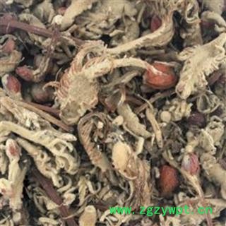 铁树花母花 铁树花雌花正品保证质量 华安堂图3