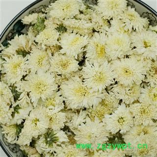 贡菊 黄山贡菊 白菊花 七月菊正品保证质量7天无理由退货退款 中药材批发丽丽药业图3