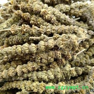 荆芥穗 正品保证质量7天无理由退货退款 安品堂图2